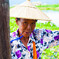 Veteran skipper at Shan in Myanmar