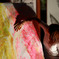 Hand Painter