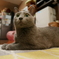なな