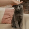 なな