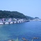 海