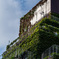 Ivy wrapping