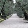 出雲大社参道