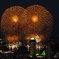 夜空に咲く錦冠菊