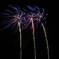 Fire Flower