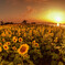 sunset, sunrise (re-touched)