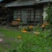 田舎