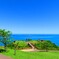 南の島の風景