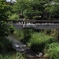 橋
