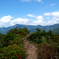 枝折峠の登山道