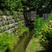 木陰の水路