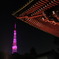 東京タワー