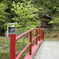 20080505_hinajinja__013