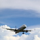 大空を背に
