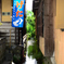 豆田の水路