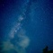 彦星に逢いに