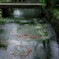 中山道醒ヶ井-02