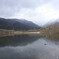 _DSC0009