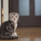 お盆なので、まめ特集７