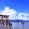 夏の厳島神社