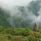 雷鳥親子