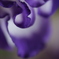 うねうね～～