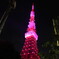2010/10/01 東京タワー　ピンクリボン