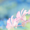 いつものついで