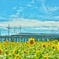 Summer　Train