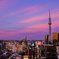 夕焼け、似合いますね～