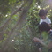 木漏れ日の庭菜園
