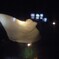 ナイト水族館２