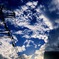 夏の空