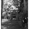 _XE30079_k