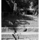_XE30105_k