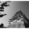 _XE30108_k