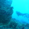 M0011213