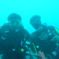 M0011377