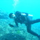 M0011218