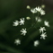 すこしだけ贅沢な空間