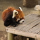 市川動植物園