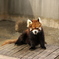 市川動植物園