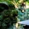 上色見熊野座神社