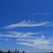 羽根雲