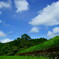 緑・青・白