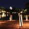 夏の幻想庭園！