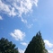 夏空