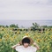 あおに、きいろに