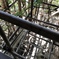 京都 清水寺