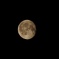 honey moon